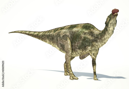 Maiasaura dinosaur  photorealistic representation. Dynamic view.