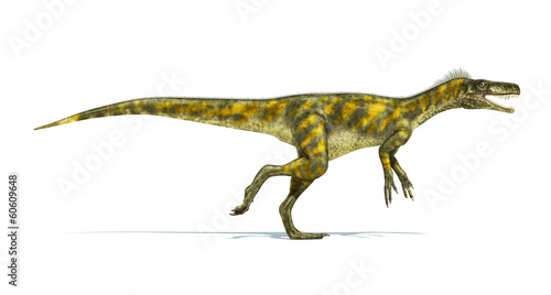 Herrerasaurus dinosaur  photorealistic representation. Side view