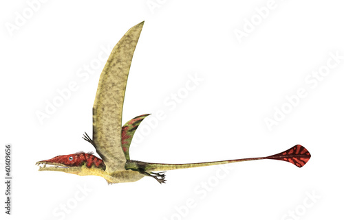 Eudimorphodon flying prehistoric reptile, photorealistic represe