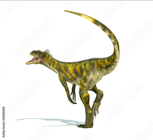 Herrerasaurus dinosaur  photorealistic representation. Dynamic v