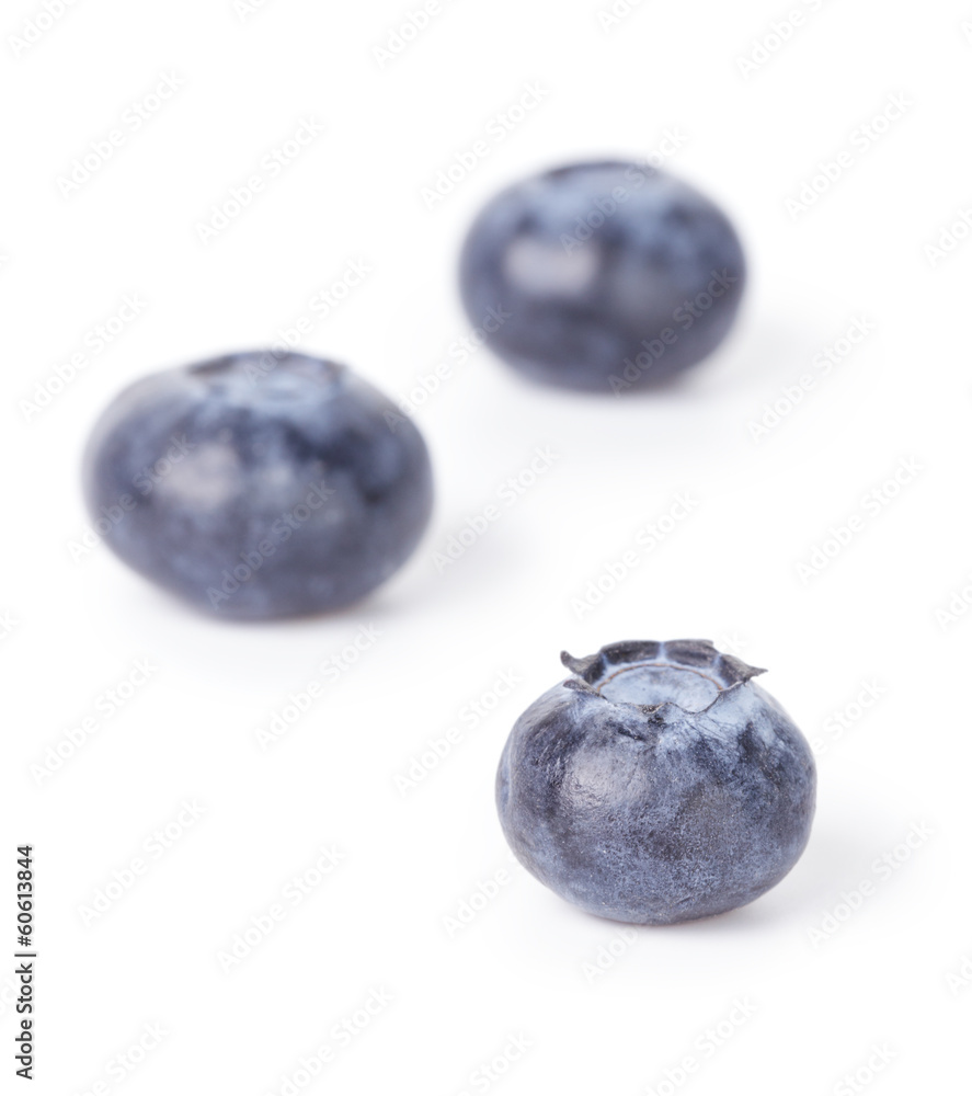 three fresh blueberries three fresh blueberries