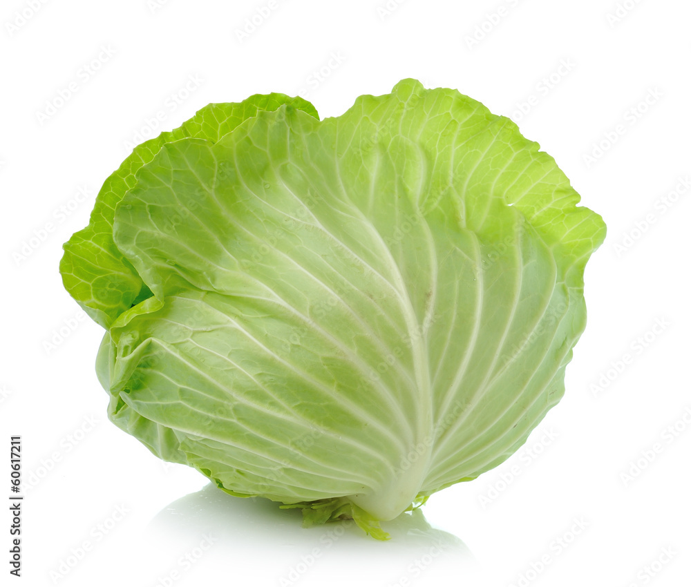 Fototapeta premium cabbage isolated on white background