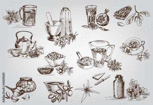 plants and herbs in folk medicine