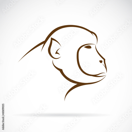 Vector image of an monkey face