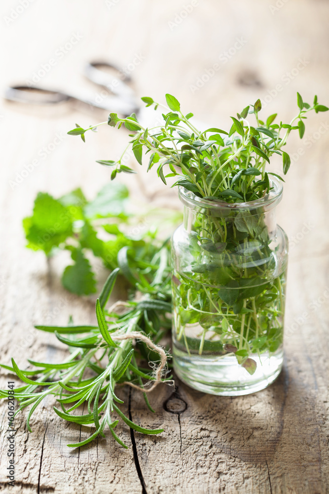 fresh thyme and rosemary herbs in glass fresh thyme and rosemary herbs in glass