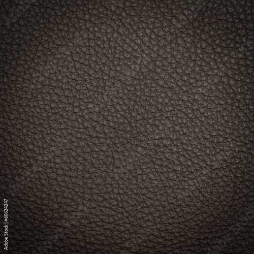 Wallpaper Mural Leather texture macro shot Torontodigital.ca