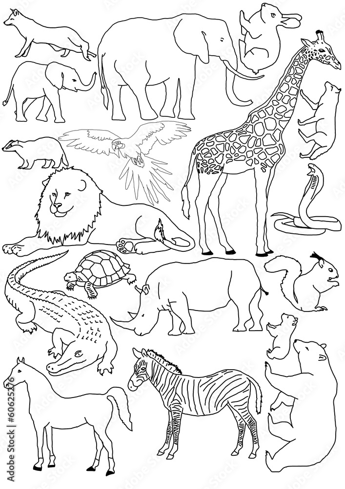 coloring pages for kids animals Stock Illustration | Adobe Stock