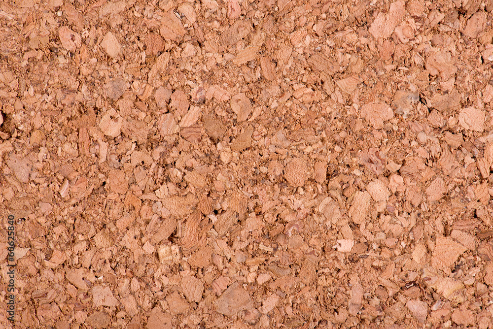 Natural pith a texture a background Natural pith a texture a background