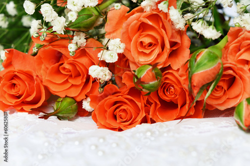 Orange roses on white backg...