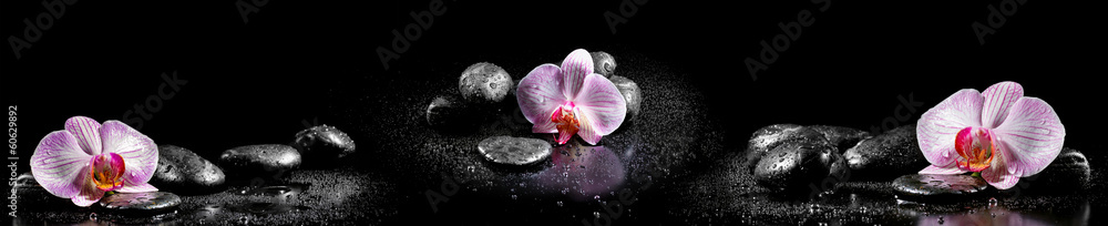 Fototapeta premium Horyzontalna panorama z różowymi orchideami i zen kamieniami na czarnych półdupkach