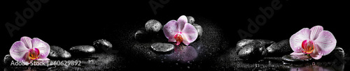 Horizontal panorama with pink orchids and zen stones on black ba