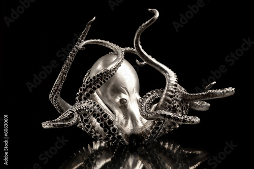 Silver Octopus.