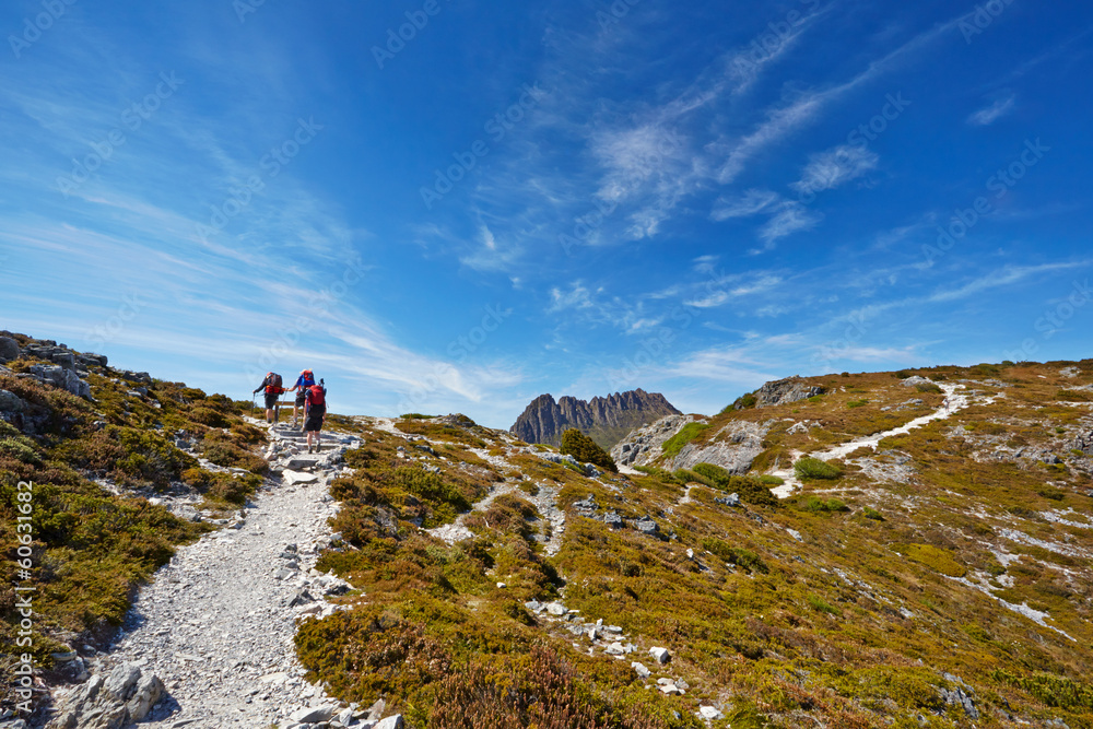 Hikers reaching the summit of a ridge with Cradle Mountain in ba
