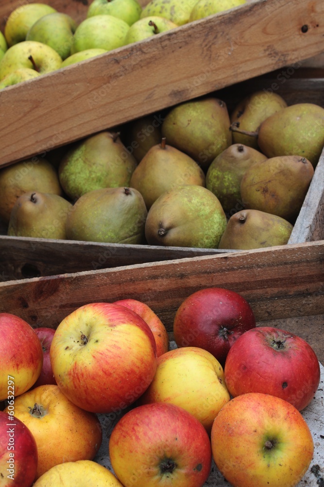 apples and pears in wooden crates apples and pears in wooden crates