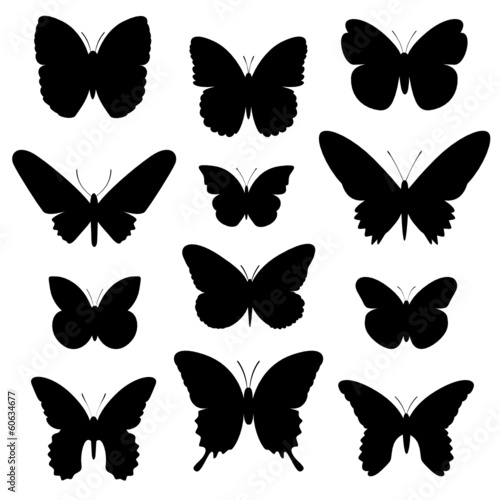 Schmetterlinge Vektor Silhouette