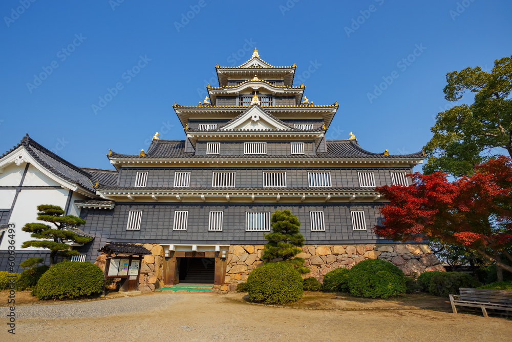 Okayama Castle in Japan