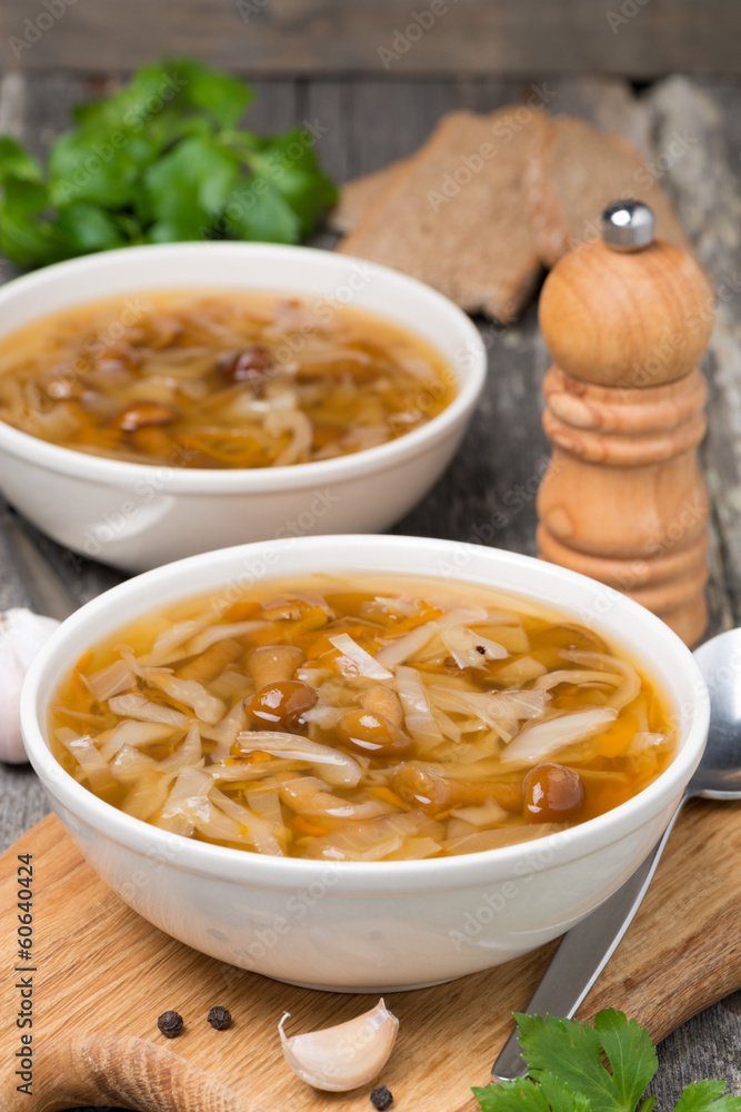 traditional Russian cabbage soup (shchi) with wild mushrooms traditional Russian cabbage soup (shchi) with wild mushrooms