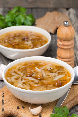 traditional Russian cabbage soup (shchi) with wild mushrooms