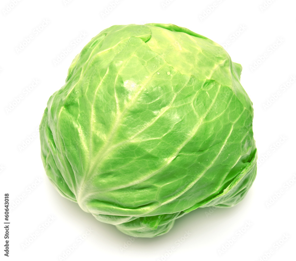 Cabbage Cabbage