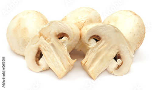 Champignon mushroom