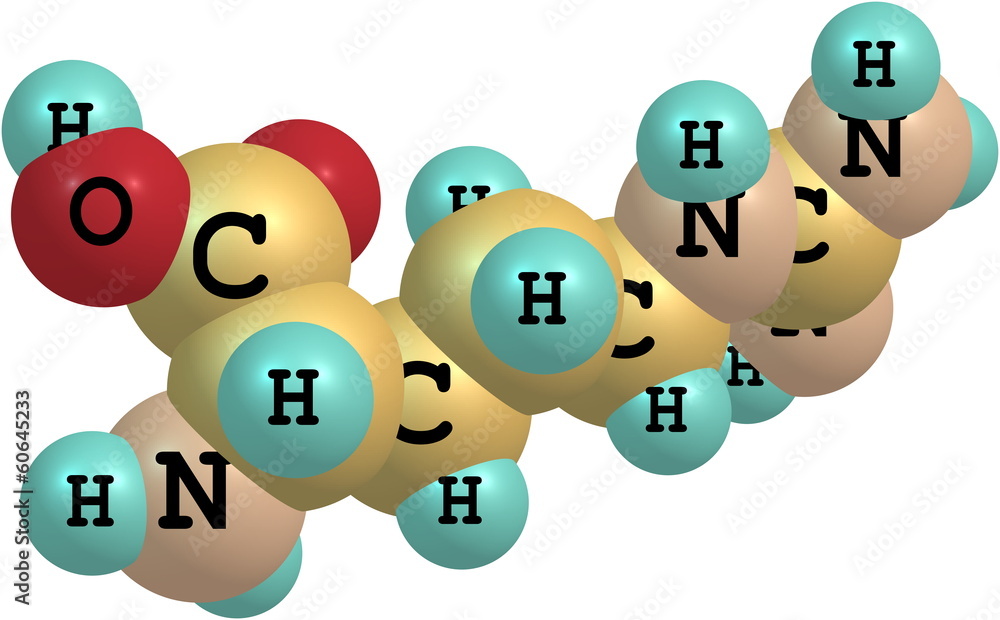 Arginine molecular structure on white background Arginine molecular structure on white background