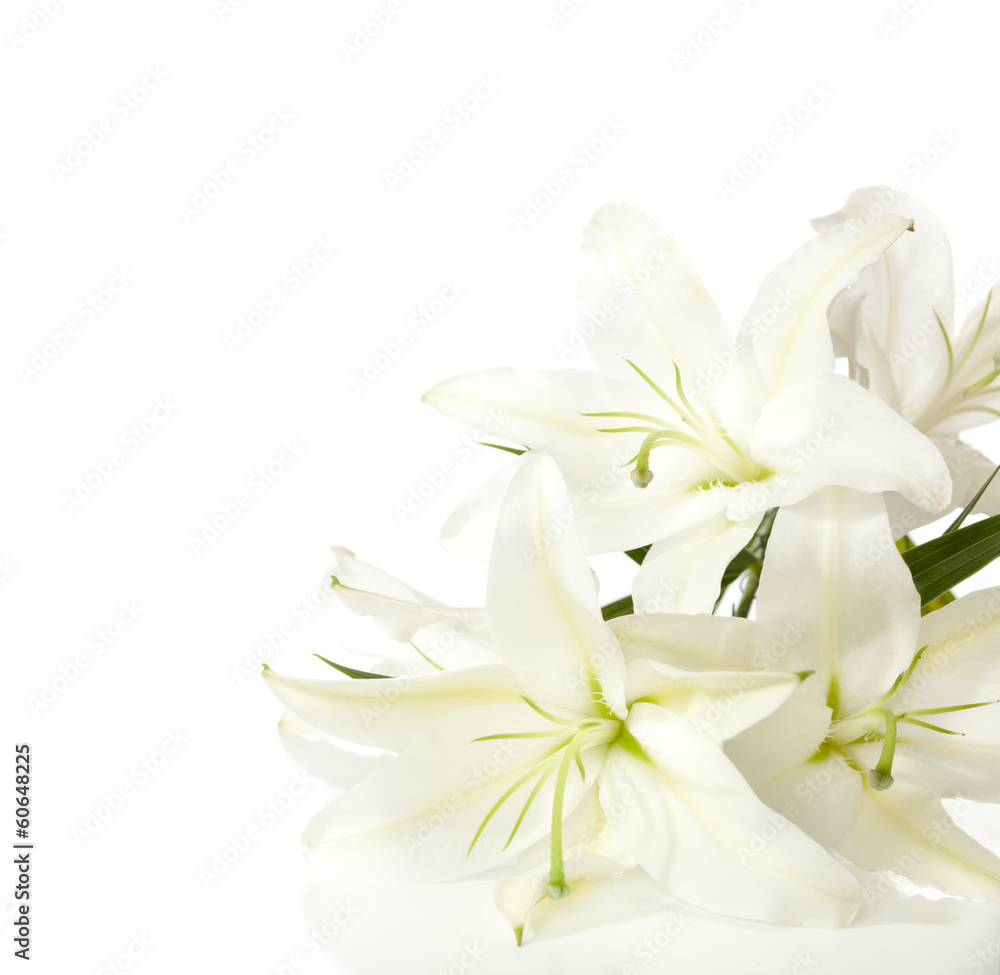 Fototapeta premium a fragment of white lilies ' bunch on a white background