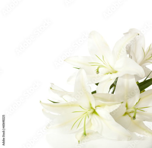 Fototapeta Naklejka Na Ścianę i Meble -  a fragment of white lilies ' bunch on a white background