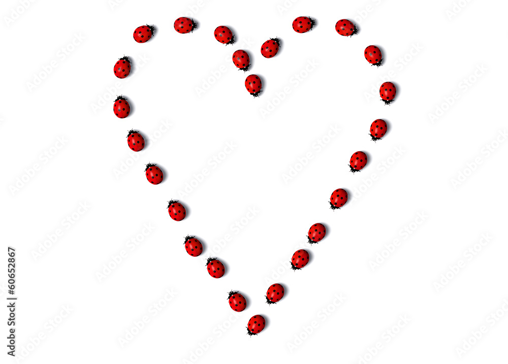 Row of ladybugs forms a heart shape