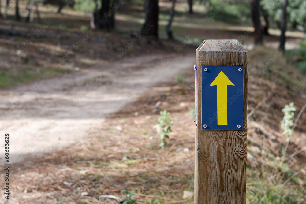 signpost signpost