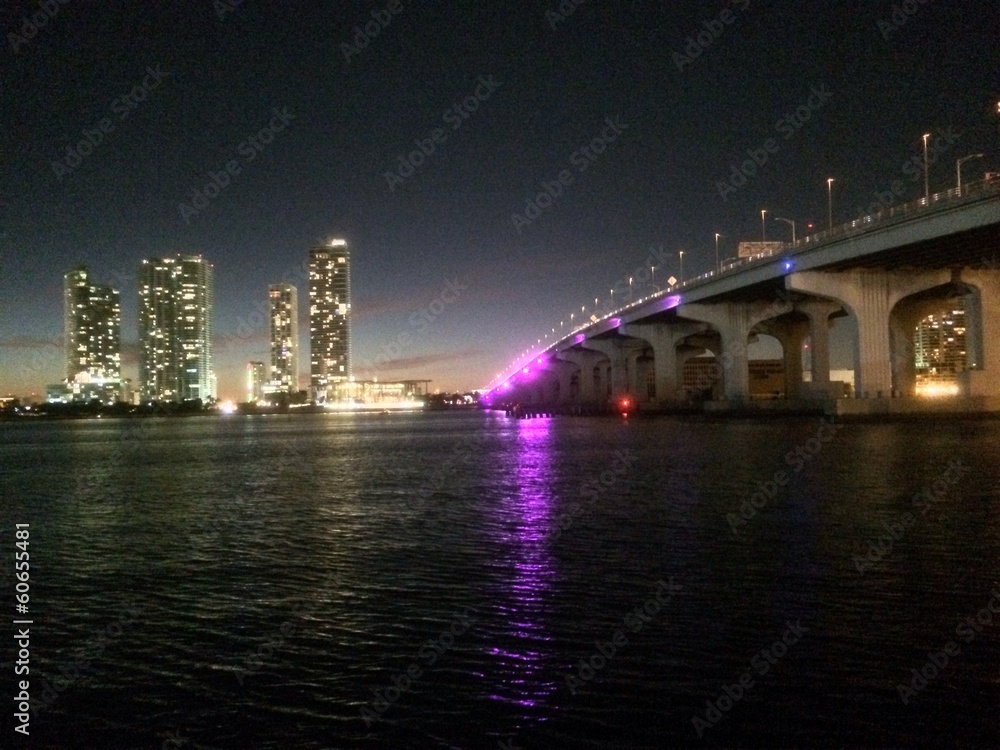 miami city view of downtown Floride USA