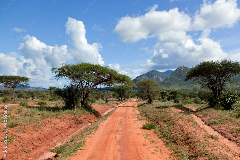 Naklejka premium Rewolucjonistki zmielona droga, krzak z sawanną. Tsavo West, Kenia, Afryka