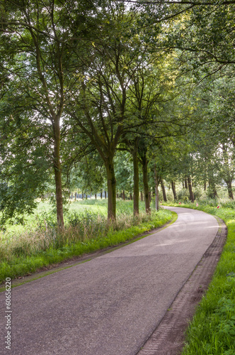 Curved country road in the Netherlands