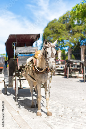 Horse carriage in Old Havana © kmiragaya