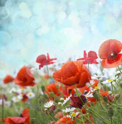 Fototapeta Naklejka Na Ścianę i Meble -  Flowers