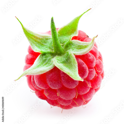 Raspberry. Single fruit isolated on white