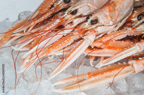 Photography fresh dublin bay prawns