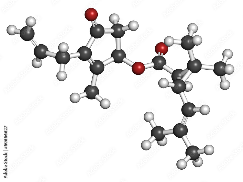 Allethrin pyrethroid insecticide. Allethrin pyrethroid insecticide.