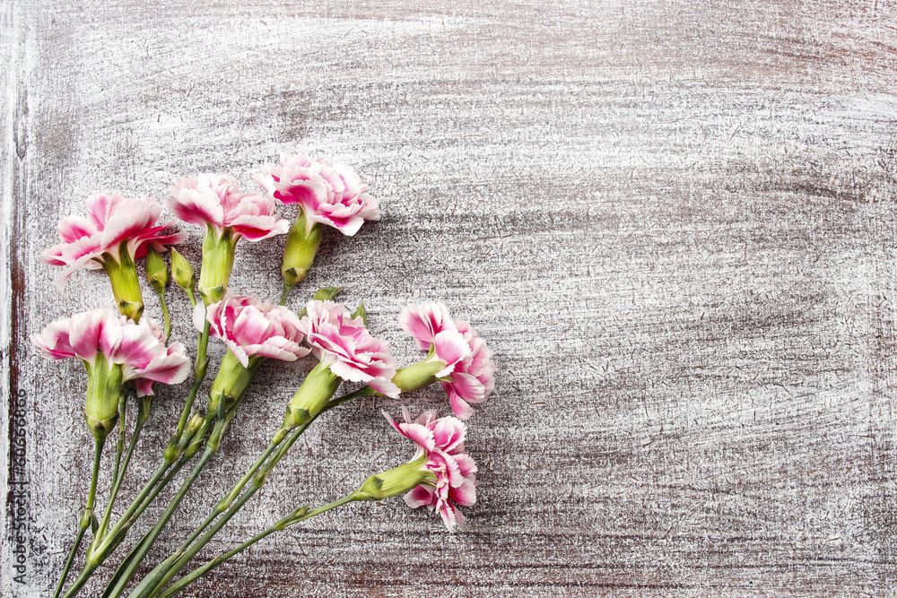 Pink carnation flowers isolated on wooden background