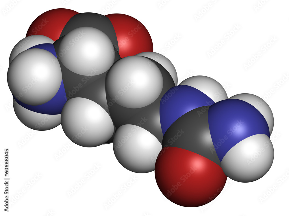 Citrulline amino acid molecule. Citrulline amino acid molecule.