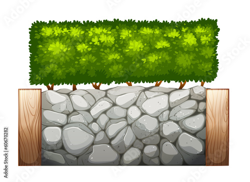 A stonewall with plants