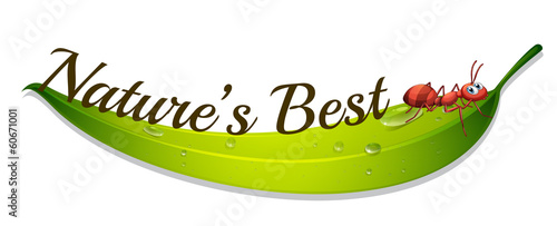 A nature's best label with an ant