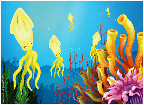 Yellow squids near the coral reefs