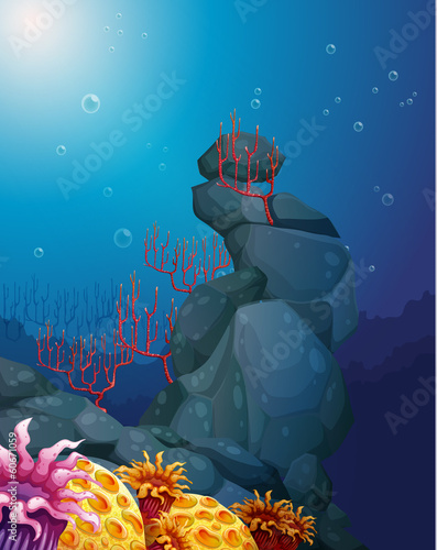 A view of the underworld with rocks and coral reefs