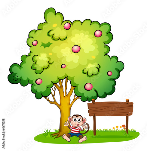 A monkey in the middle of the tree and the wooden board