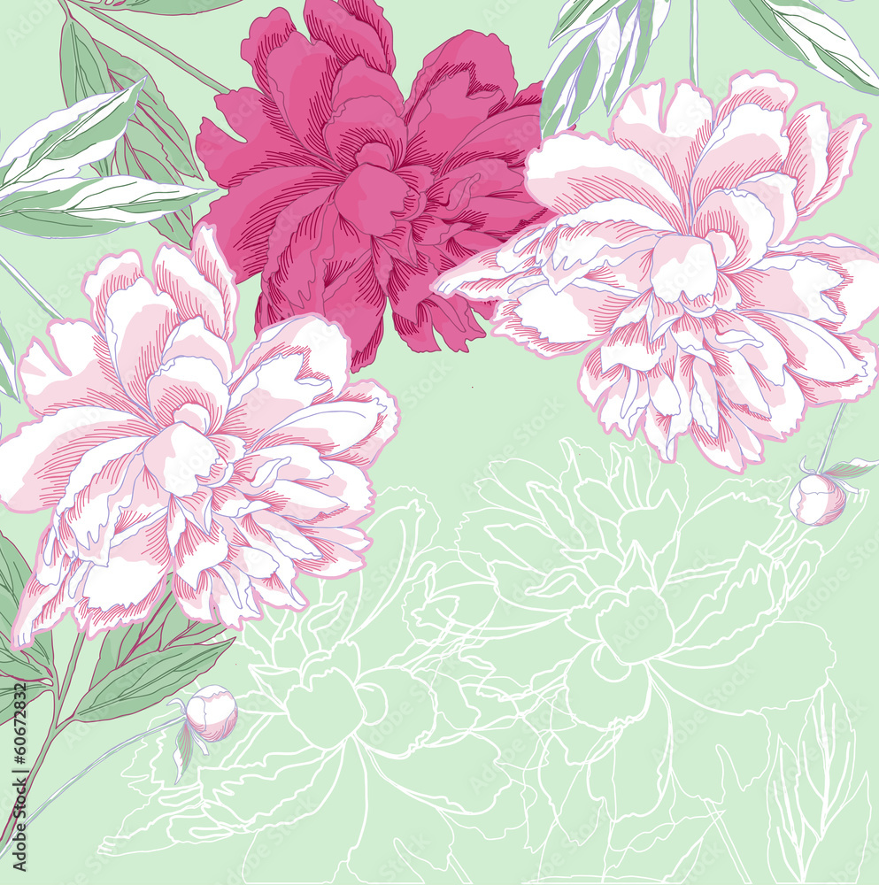 Background with white and pink peony. Vector illustration