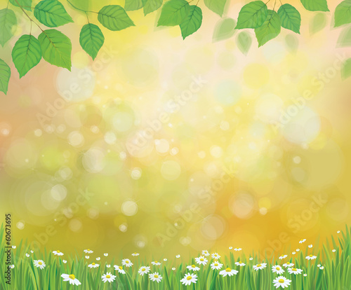 Vector sunshine background with chamomile and dandelion.