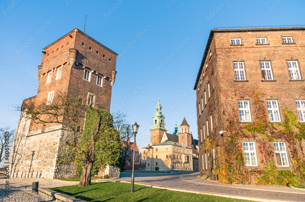 The Gothic Wawel Castle in Kraków
