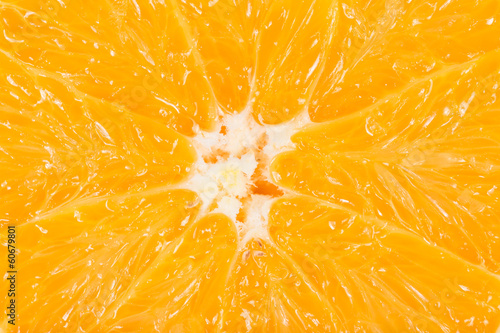 macro photo of an orange fruit