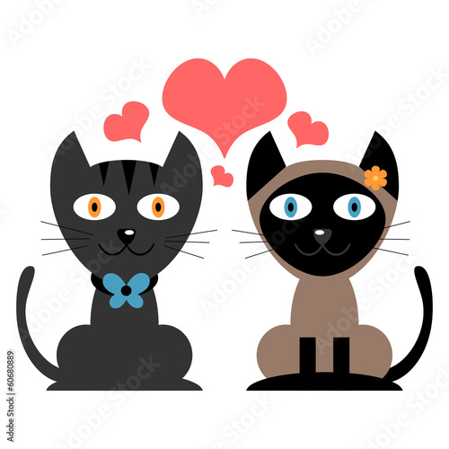 Cute couple of cats in love