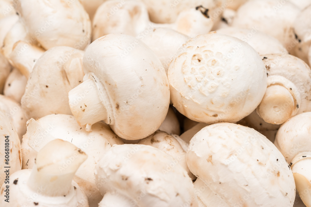 Fresh Champignon Mushrooms Pile In Market Stand